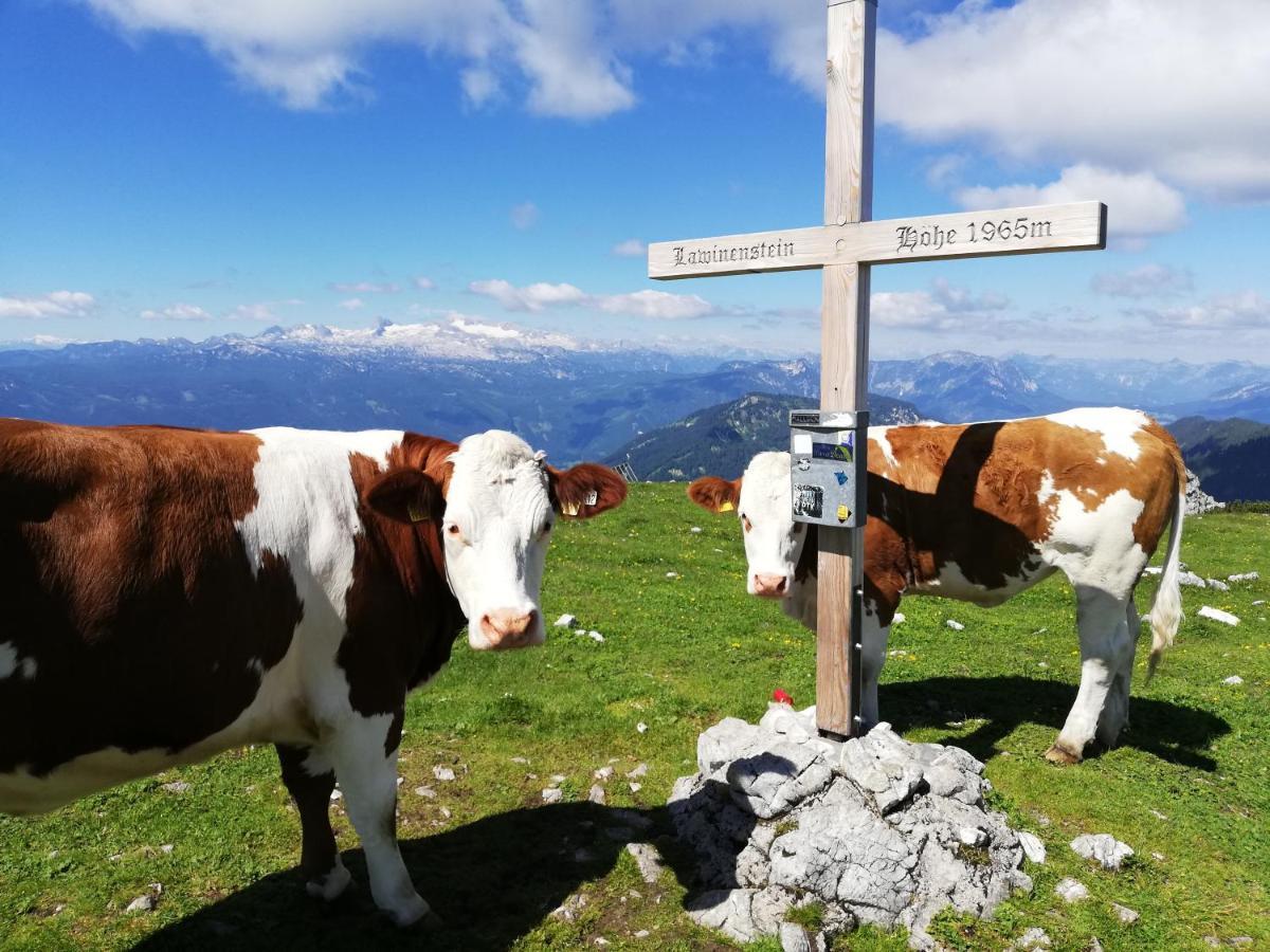 Ferienwohnung Fuchs Bad Mitterndorf Esterno foto